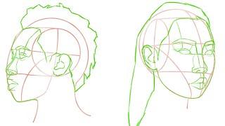 How to Place Facial Features on a Loomis Head | A Beginners Guide