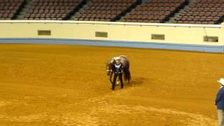 Oklahoma Quarter Horse Association Redbud Spectacular