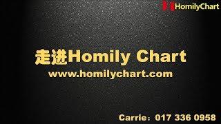 弘历软件（Homily Chart）详细介绍