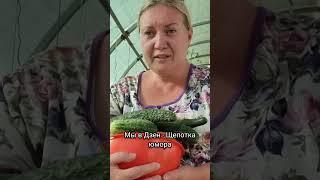 Полностью весь ролик в Дзене на канале Щепотка юмора