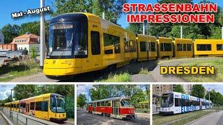 Straßenbahn Dresden | Straßenbahn Impressionen - Mai - Aug 2024