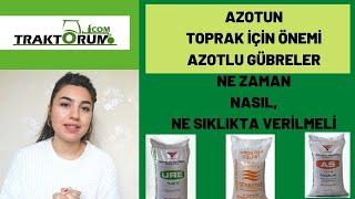 Azot'un Toprak İçin Önemi - Azotlu gübreler Nasıl Kullanılmalı?