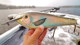 FISHING GIANT BAITS in FREEZING COLD SNOW!!