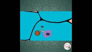  INFLUENZA (flu) VIRUS ANIMATION | PNEUMONIA #shorts #medicine #infectiousdisease #pediatrics