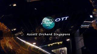 Singapore Staycation Hotel|新加坡雅诗阁乌节酒店Ascott Orchard Singapore|room tour