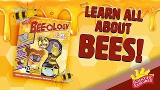 Learn all about bees! - Scientific Explorer Bee-ology