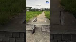 3D Art