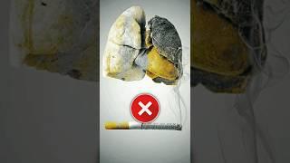 "CIGARETTE" #halal #vs #haram #islam #muslim #24hours #shorts