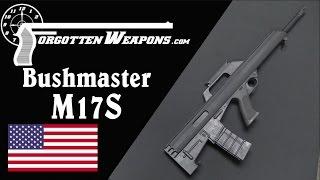 Bushmaster M17S - An American Commercial Bullpup