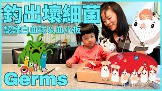 All about Germs for Kids in Chinese 釣出壞細菌 | 認識🩸白血球 血小板 免疫系統 |  生病怎麼辦 | STEAM 中文