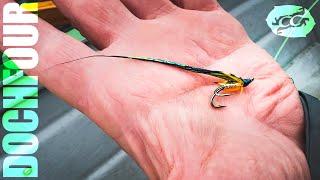 salmon caught on the fly | Dochfour | salmon fishing Scotland 2024 󠁧󠁢󠁳󠁣󠁴󠁿