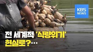 [글로벌 경제] 버려지는 농산물…한쪽선 ‘식량 안보’ 우려 / KBS뉴스(News)
