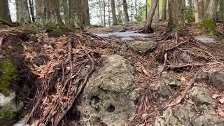 Lion’s Head Provincial Park Nature Reserve