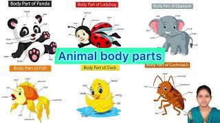 Animal body parts | body parts of 35 animals |