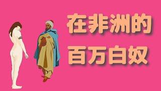 历史中还有白人奴隶？数目竟高达百万！《白色黄金》一书揭开中世纪这段鲜为人知的故事 #历史 #故事