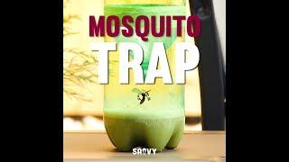 Easy Mosquito Trap | Outdoor DIY