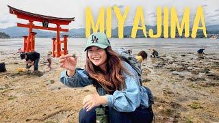 Clam digging, hiking Mount Misen on Miyajima, Hiroshima | Japan EP 2 