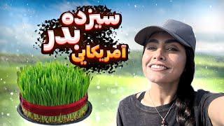 سیزده بدر آمریکایی ایرونی ولاگ روزانه