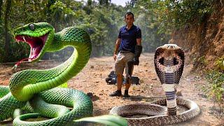 Wild Sri Lanka: Into the Lair of Forgotten Creatures