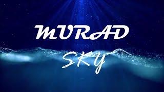 MuraD - Sky (No Copyright Music)