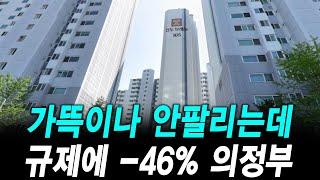 가뜩이나 안팔리는데 규제에 -46% 의정부