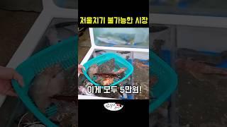 수산시장 흥정 없이 사먹기(당시 상인은 저를 절대 모릅니다. 자세한 내용은 설명란에)