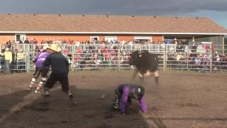 Todd Chotowetz nearly gets it from Hoggs' 818 Morning Breath. Oyen, AB (CPRA) '13