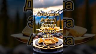 Свободная Добыча Золота на Аляске. #сша #alaska #золото #серебро #слиток