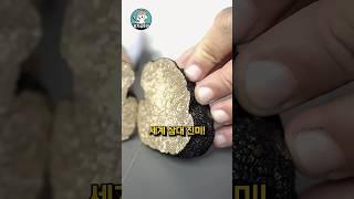 사람은 절대 못 찾는 땅속의 보물
