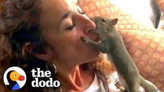 Squirrel Visits His Rescuer Every Day For Years | The Dodo