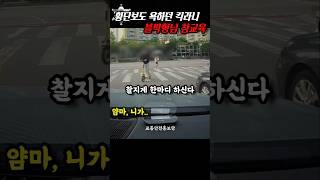 횡단보도 욕설 킥라니 블박형님 참교육