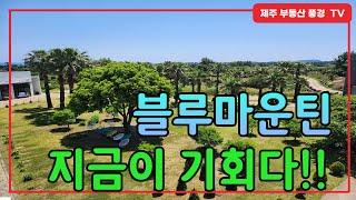 【 전속매물 】 제2공항 가는 길목 드디어 나온 ^^ cafe, 주거, 식당, 박물관  다되는곳^^ 한번 둘러보세요^^