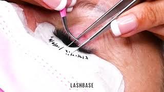 LashBase MegaFans- Premade Fan Application