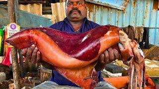 KASIMEDU  SPEED SELVAM | BIGG ORANGE SQUID  CUTTING VIDEO | IN KASIMEDU | FF CUTTING 