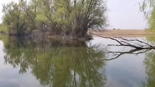 Culori superbe de primavara in Delta Dunarii, Ciprian Safca Amazing colors in spring in Danube Delta