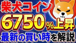 【柴犬コイン(SHIB)】イーロンマスクの発言で柴犬コインが高騰間近!?ミームコインバブルに向けて最新の買い時を解説！【仮想通貨】【DOGE(ドージ)】