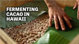 Fermenting Cacao In Hawaii with Colin Hart | Ep.112 | Craft Chocolate TV