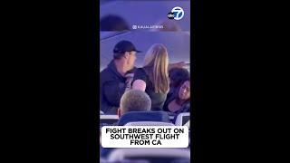 Fist fight breaks out mid-air on Southwest flight from CA to Hawaii