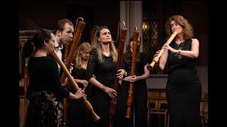 Alonso de Mudarra: Pavana I & Gallarda - The Royal Wind Music | LIFEM 2024