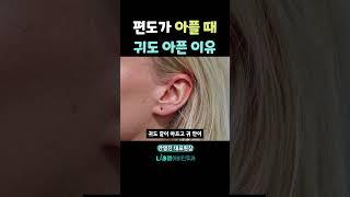편도가 아플때 귀도 아픈이유