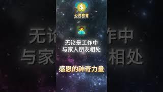 为什么感恩让你的财富倍增？| 第144天 | 心灵致富 Soulful Wealth