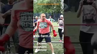 Чеченец против Богатыря #бокс #бой #чеченец #богатырь