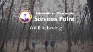 Explore Wildlife Ecology at UW-Stevens Point