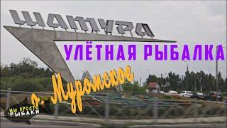 о. Муромское. Улетная рыбалка в городе Шатура!