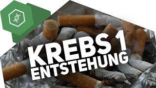 Wie entsteht Krebs?! - Krebs 1