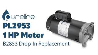 Pureline PL2953 (B2853) Replacement Pool Pump Motor