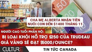 AI được nhận $250 của CP Trudeau? Cha mẹ Alberta NHẬN đến $1400 tiền nuôi con | TIN CANADA 23/11