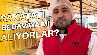 SAKATATI BEDAVAYA MI ALIYORLAR?
