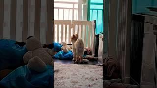 무더위가 기승을 부리는 이때 냉수 한 컵과 바람이여 내게로 오라