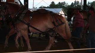 Windsor Fair Horse Pull 2013, Windsor Maine